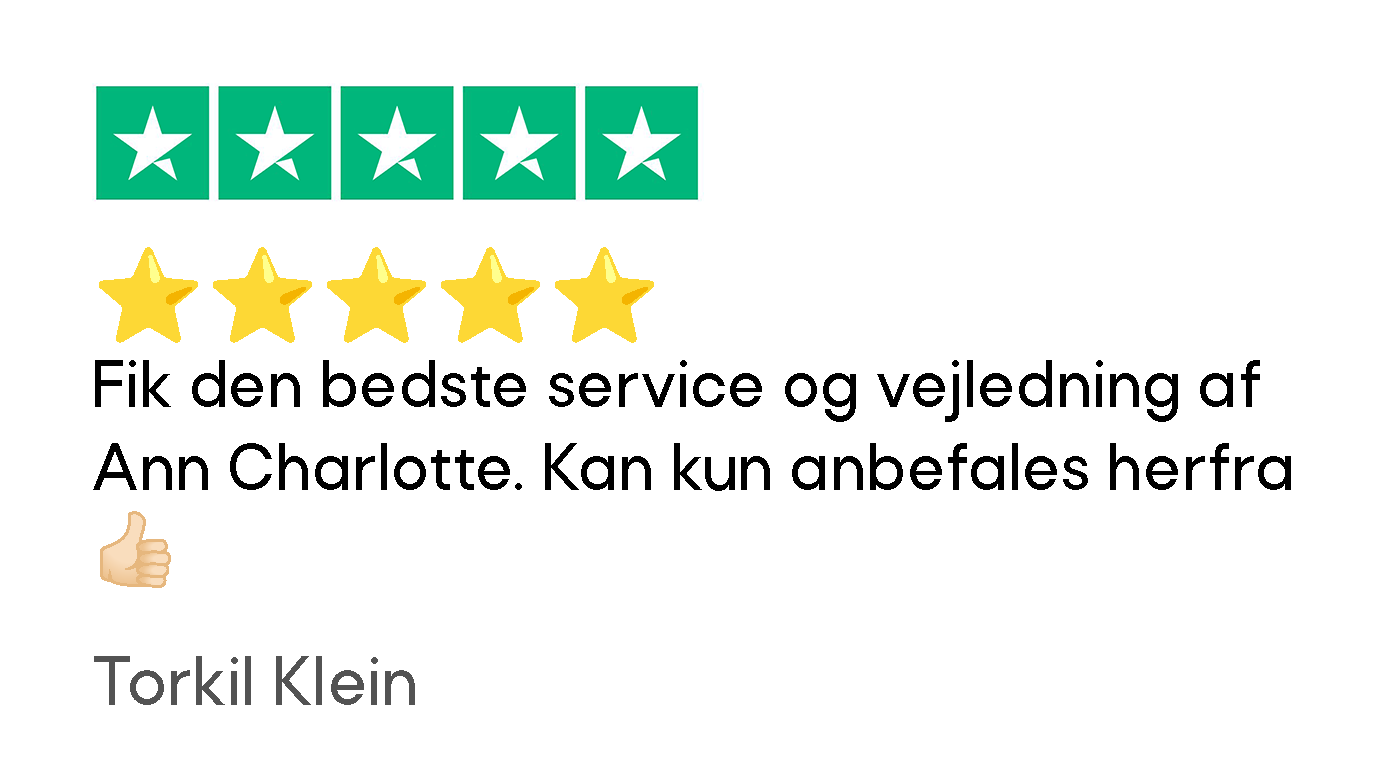TP Anmeldelse 01